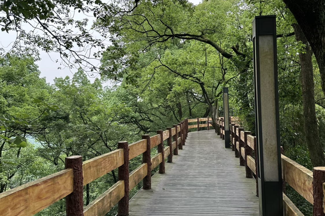 Nanshan One Tree